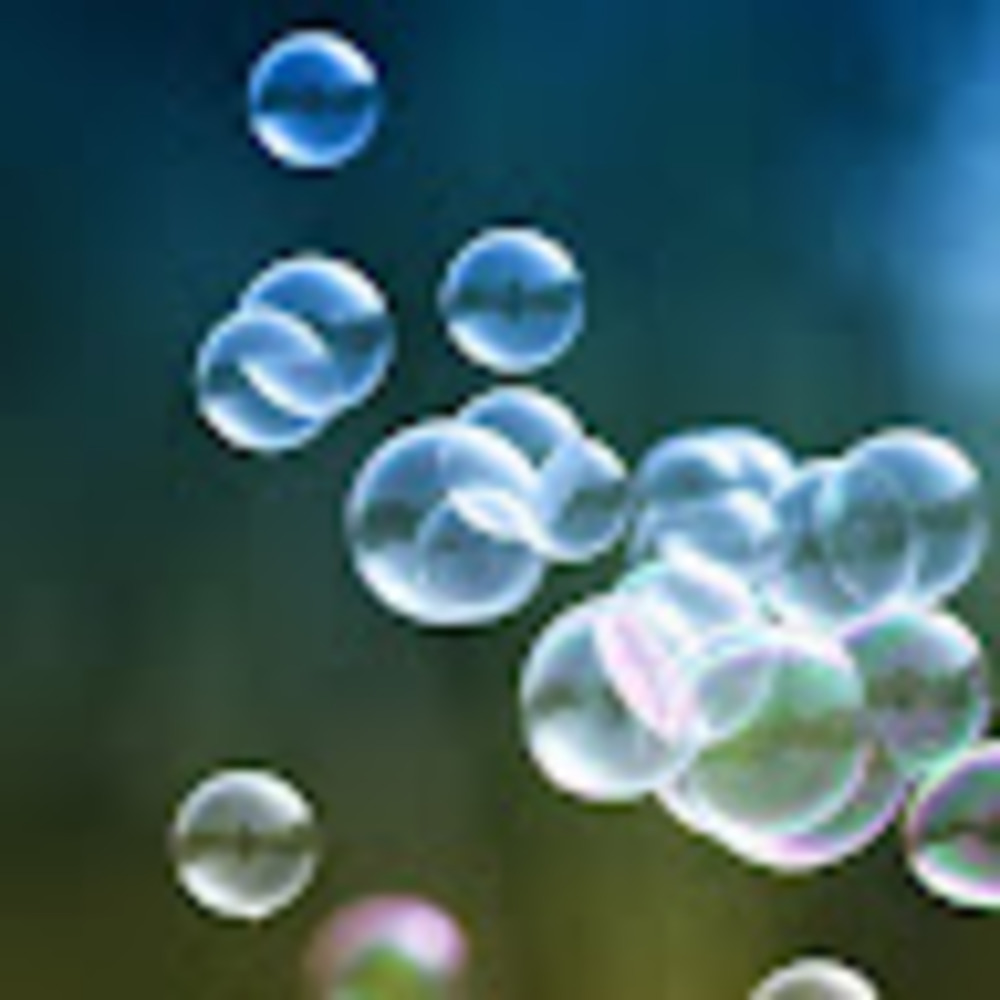 Meet your Posher, Kat